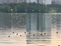 -祥源·阜阳生态乐园