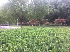 -天鹅湖体育公园