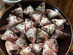 -章记正宗南岗鱼蛋火锅