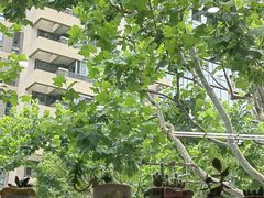 -东方有线(虹关路营业厅)