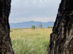 -野鸭湖国家湿地公园