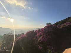 -广州市石门国家森林公园