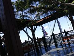 -梦幻奥陶纪景区