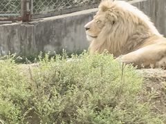 -石家庄市动物园