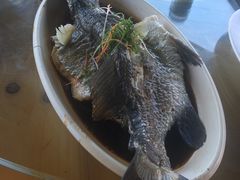 -无招牌海鲜餐厅(滨海艺术中心店)