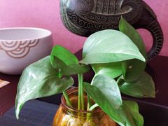 -碧露轩·大益茶体验馆(镇江路店)