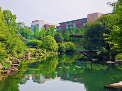 -逸廊大堂吧-下午茶·简餐-千岛湖自由洲际殿
