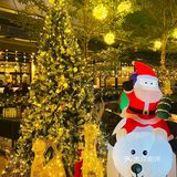 在LAVO享受一人餐的快乐，超满足[胜利][亲亲][胜利]