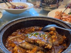 -海派美食·家宴海鲜青岛菜·石锅鲽鱼头(东方城店)