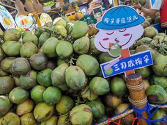 -海南分界洲岛旅游区