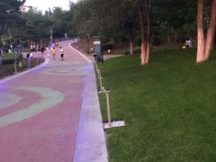 -莫子山公园