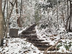 -紫金山山顶公园