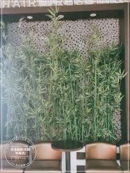 -木北造型