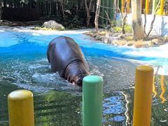 -常州淹城野生动物世界