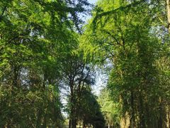 -上海海湾国家森林公园