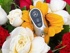 -奔驰利星行(北京花乡店)