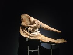 -湖南省地质博物馆