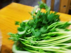 -专业跳跳蛙·彭彭老铺(步行街店)
