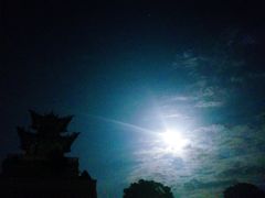 -兰山公园