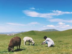 -祁连山草原
