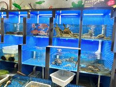 -金龙·打边炉(武进路店)