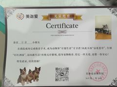 -美迦爱-牙专科·兔科·骨科诊疗中心(北苑店)