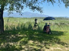 -野鸭湖国家湿地公园