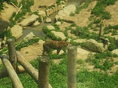 -大连森林动物园