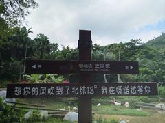 -呀诺达热带雨林