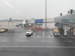 -郑州新郑国际机场-T2航站楼