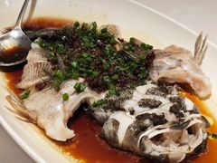 -南麓·浙里(外滩店)