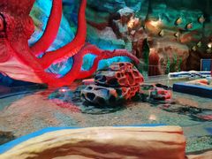 -青岛嘉年华主题乐园