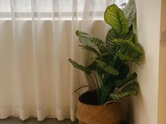 -北里·4k影院式足疗SPA馆(观音桥店)