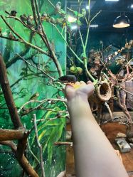 -Zoolung Zoolung动物主题公园(海信广场店)