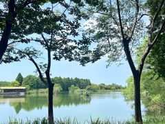 -苏州太湖国家湿地公园
