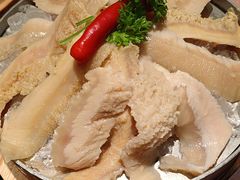 -打川川·川蜀毛肚(南市场店)