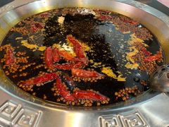 红汤锅底-大龙火锅(老店)