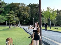 -奈良公园