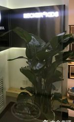 -贝克叔叔儿童摄影工作室(天时嘉园店)