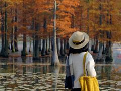 -白鹭湾湿地公园