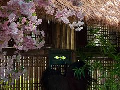 -田园印象·成都土菜院子(华阳店)
