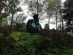 -重庆彩云湖湿地公园