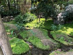 -成都市活水公园