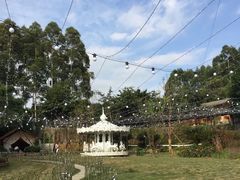 -三圣花乡旅游区