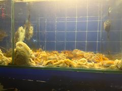 -东海章鱼馆(恒瑞街店)