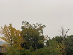 -天台山景区