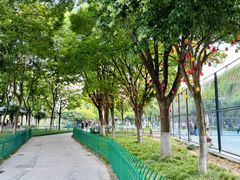 -武定门公园