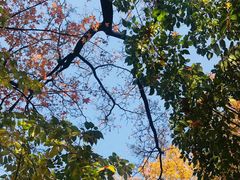 -钓鱼台国宾馆