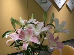 -汉仁宫·古法按摩·足道·SPA(沙井店)