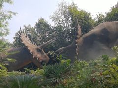 -中华恐龙园